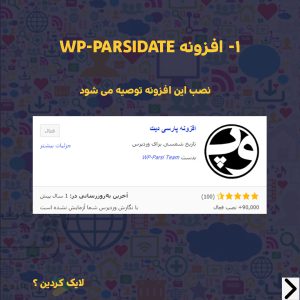 افزونه WP-Parsidate